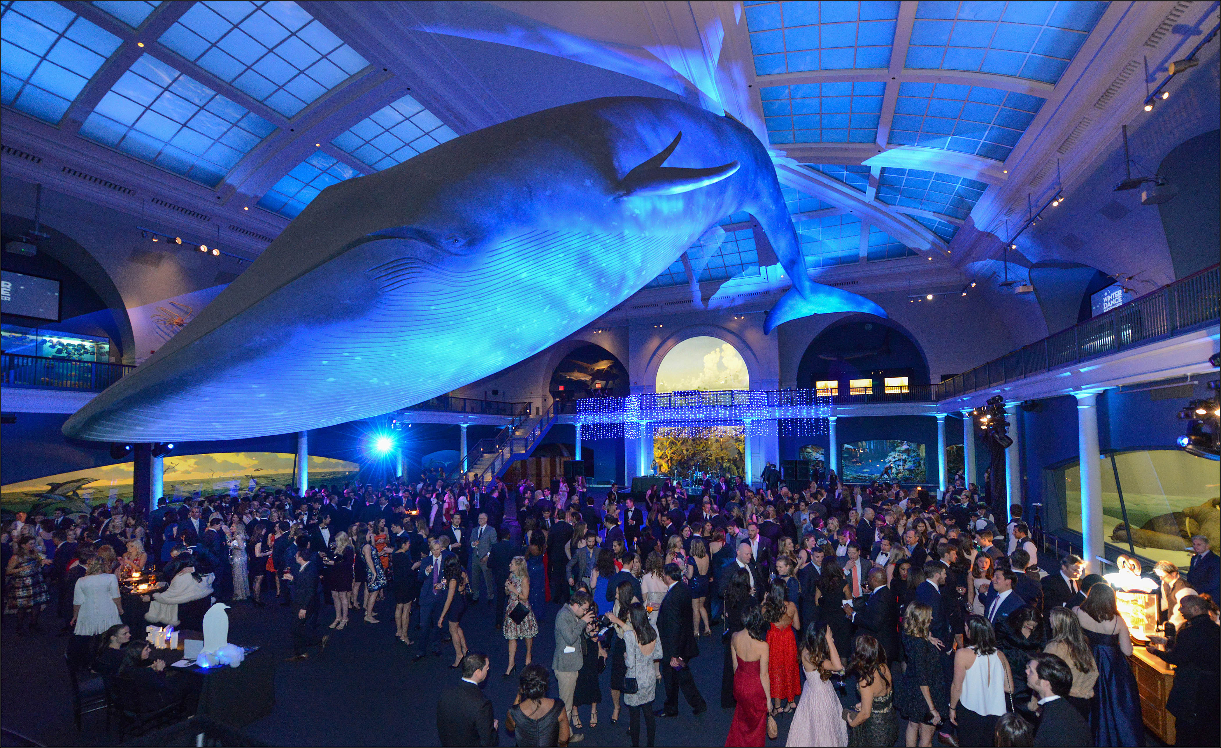 Read more about the article American Museum of Natural History’s Winter Dance Underwater