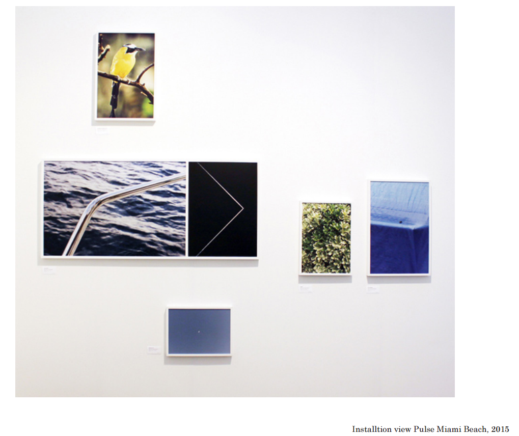 Read more about the article Nature Through Ryan James MacFarland’s Lens