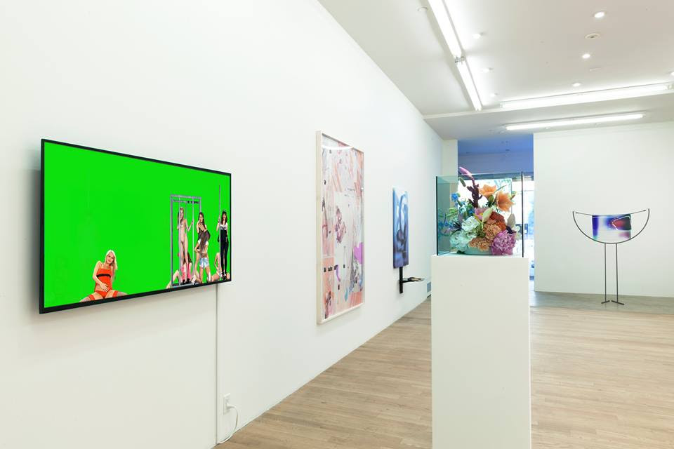 Read more about the article 5 Minutes With Curator Lindsay Howard