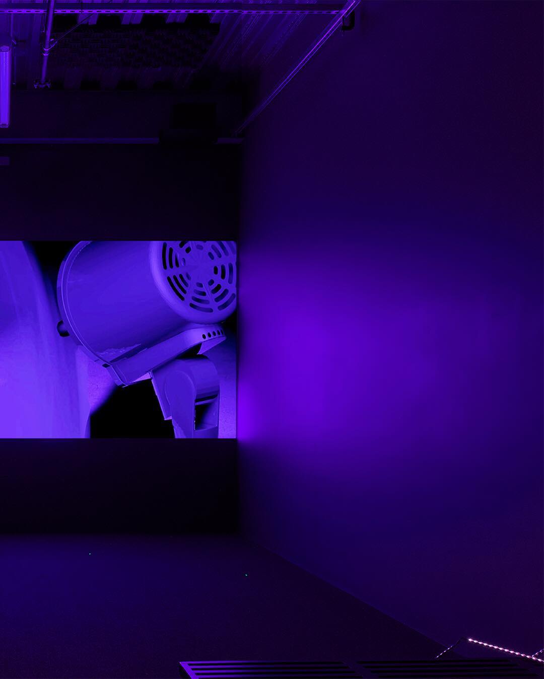 Read more about the article 10 Art Instagrams You Need to Follow Right Now