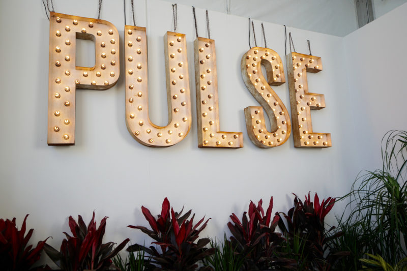 Read more about the article Scenes From PULSE Miami Beach 2017