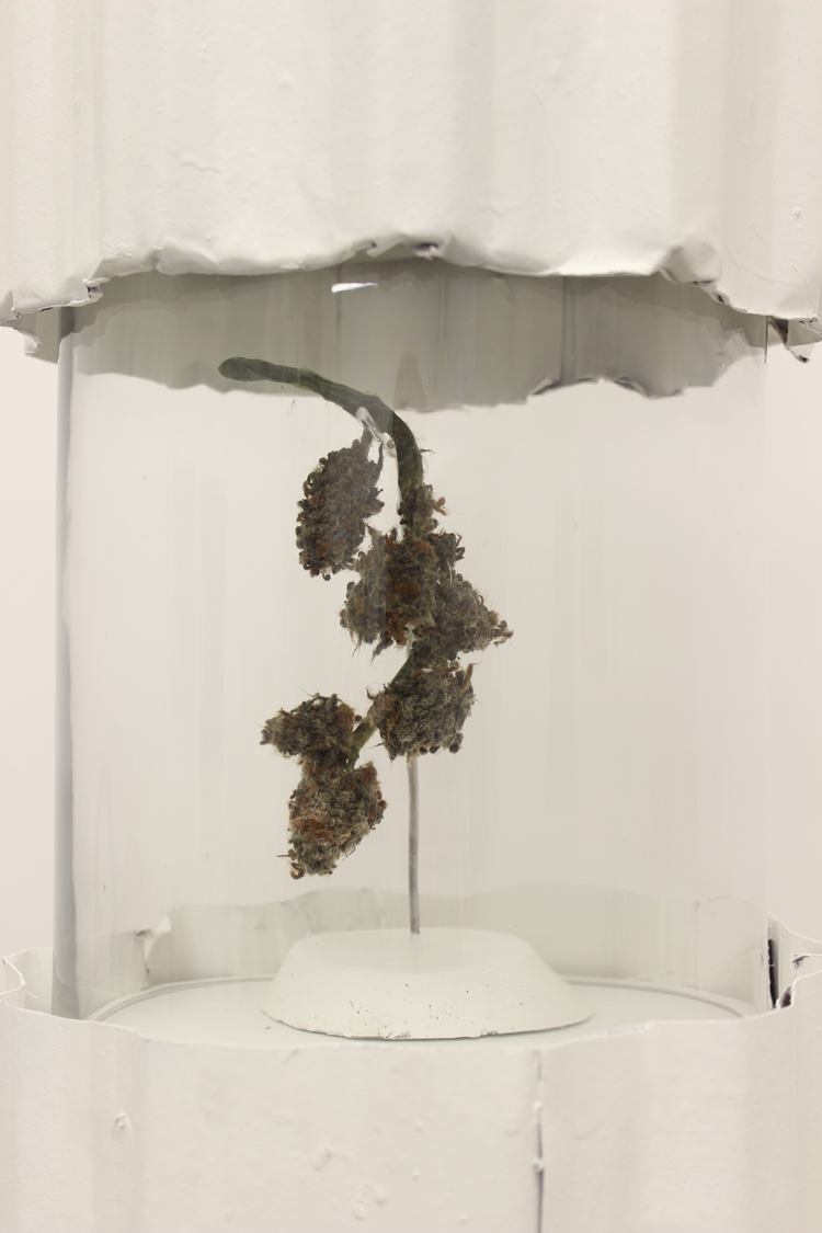 Read more about the article 4/20 Inspired Artwork on National “Marijuana Day”