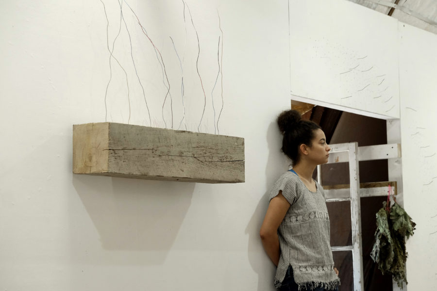 Read more about the article #ArtPowerWomen Series: Examining the Natural World With Paula Flores