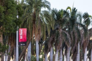 Read more about the article Art Basel Announces Gallery List For its Miami Beach Fair