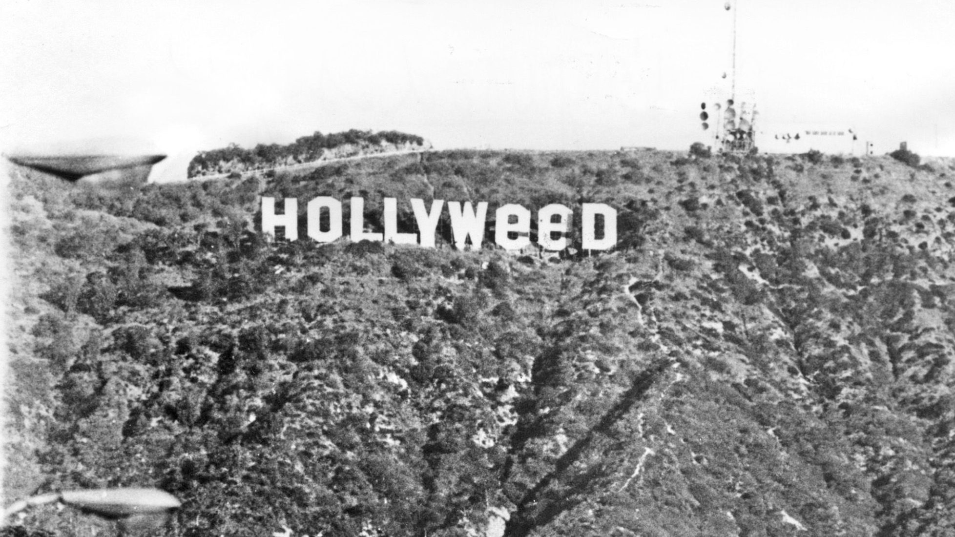 Read more about the article Museum of Weed to Launch in Los Angeles